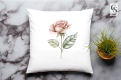 Blush Pink Rose Clipart Sublimation PNG Product Image 2