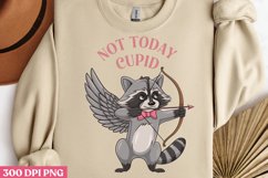 Not today cupid PNG, Sweet Valentines S Product Image 1