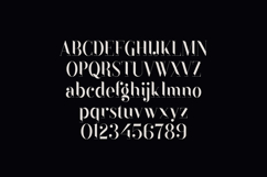 Black Goose Elegant Modern Serif Font Product Image 2