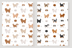 Maltipoo, Maltese Poodle mix Product Image 6
