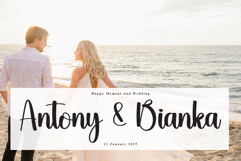 Pumpkin Product Image 2