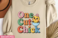 One Cute Chick PNG, Baby Animal Nursery Sublimation PNG Product Image 1