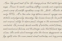 Meren Minimal Handwritten Script Font Product Image 2