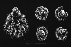 10 Bundle Dark Art Betta Fish Predator Fighting Fish Animal Product Image 3