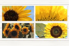 Sunflower Sublimation Mug design bundle, summer design, JPG Product Image 2