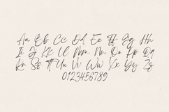 Solasta Signature Script Elegant Handwritten Product Image 2