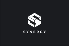Cube Letter S logo design vector template Product Image 2