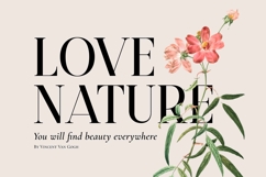 Burnt Anchor - Romantic Serif Product Image 2