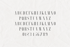 Searchlight Luxury High Contrast Serif Font Product Image 2