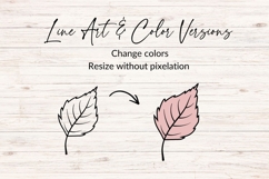 Hand Drawn Autumn Leaf SVG Product Image 2