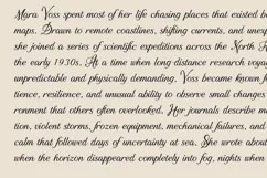 Ardor Elegant Calligraphy Script Font Product Image 2