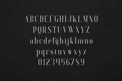 Elysian Elegant Modern Serif Font Product Image 2