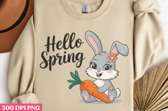 Hello Spring PNG, Hello Spring Sublimation PNG Product Image 3