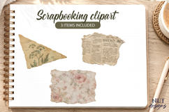 Vintage Paper Scrap Clipart Scrapbooking wildflowers Product Image 1