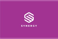 Synergy Letter S logo design vector template Product Image 2