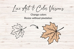 Hand Drawn Maple Leaf SVG Product Image 2