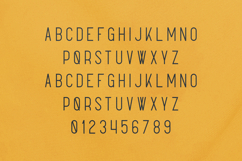 Sunflower Warm Minimal Display Sans Serif Font Product Image 2