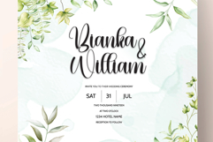 Baby Daisy Product Image 2