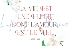 Emeralde - Chamerions Stylish Font Duo Product Image 2