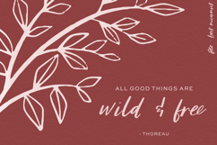 Fete Script Product Image 2