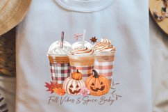Fall vibes &amp; spice baby Sublimation PNG Product Image 2