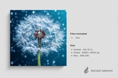 Softness and fragility of a dandelion beauty generative ai Product Image 1
