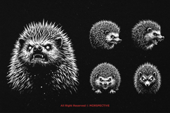 10 Bundle Dark Art Hedgehog thorns quills wildlife Spines Product Image 3