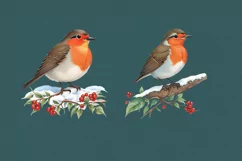Watercolor Robin cliparts. 5 PNG sublimation Product Image 3