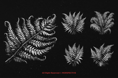 10 Bundle Dark Art Fern Plant Wild Leaf Botanical Horror Product Image 3