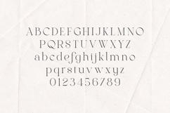 Gleed Elegant Modern Serif Display Font Product Image 2