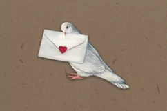 Love bird illustration, bird clipart PNG instant download Product Image 3
