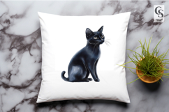 Black Cat Illustration Clipart Sublimation PNG Product Image 2