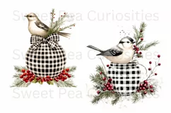 Christmas, Birds, Ephemera, PNG, watercolor, Clipart Product Image 2