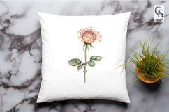 Single Peach Rose Clipart Sublimation PNG Product Image 2
