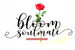 Parshell Product Image 2