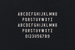 Avoqado Modern Vintage Display Font Product Image 2