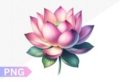 Lotus Sublimation - Clipart PNG Design Product Image 1