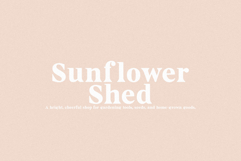 Bourbon - Vintage Serif Product Image 2