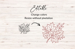 Hand Drawn Fall Leaves Arrangement SVG Product Image 2