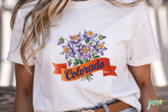 USA State Flowers Embroidery Clipart Product Image 2
