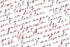 Beatina Signature Font Product Image 2