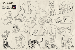 Cats Procreate Stamps Product Image 2