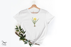Spring flowers. Narcissus cliparts Product Image 2