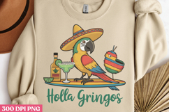 Hola Gringos PNG, Cinco De Mayo Sublimation PNG Product Image 3
