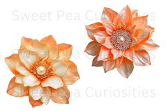 Flowers, Ephemera, PNG, Junk Journal, clipart Product Image 2