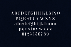 Wonderz Vintage Edition Elegant Serif Font Product Image 2