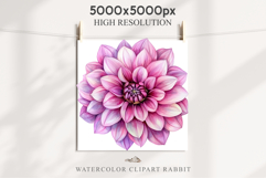 Pink Spring Dahlia Flowers Daisies Pansies Lilies Snapdragon Product Image 3