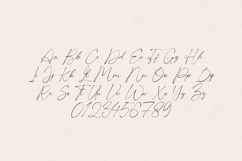 Obsidian Elegant Script Font Product Image 2