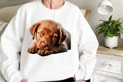 Cute Sleeping Dogs Clipart Product Image 2