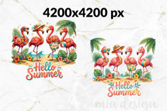 Hello Summer Flamingo PNG, Tropical Beach Sublimation Design Product Image 2